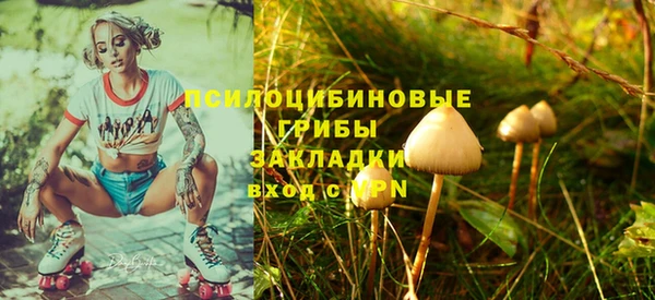 дмт Абаза