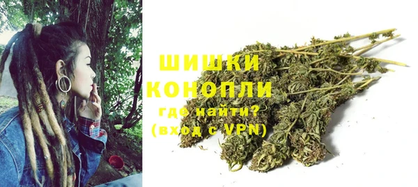 дмт Абаза