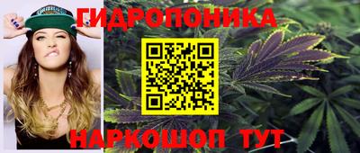PSILOCYBIN Азнакаево