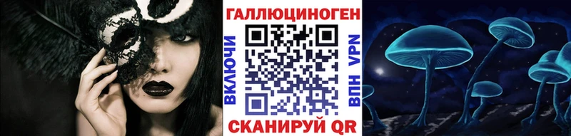 закладка  Волоколамск  Псилоцибиновые грибы GOLDEN TEACHER 