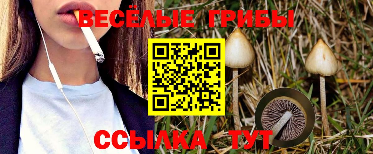 Галлюциногенные грибы ЛСД  Галлюциногенные грибы мицелий  Вход с VPN  Волоколамск 