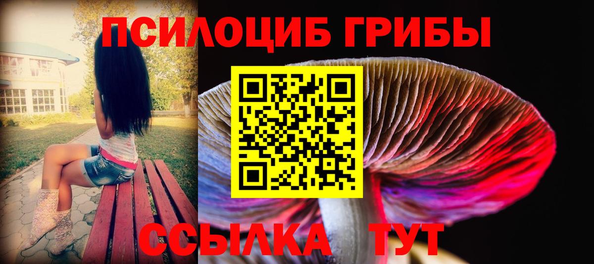 Галлюциногенные грибы Psilocybe  Псилоцибиновые грибы Magic Shrooms  как найти наркотики  Вход с VPN  Волоколамск 