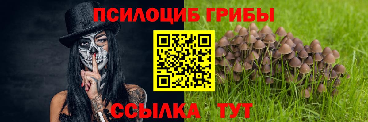 Псилоцибиновые грибы MAGIC MUSHROOMS Волоколамск