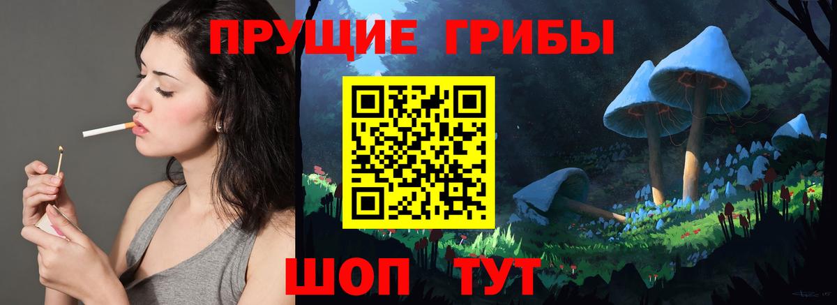 Галлюциногенные грибы Cubensis Волоколамск